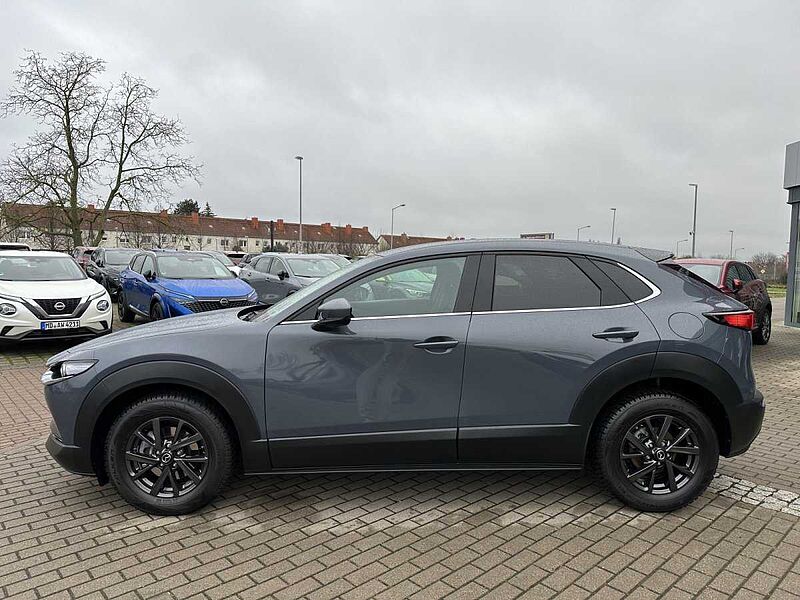 Mazda CX-30 2.0 SKY-G M-Hyb 150PS EU6d Selection/360°/BOSE/MATRIX-LED