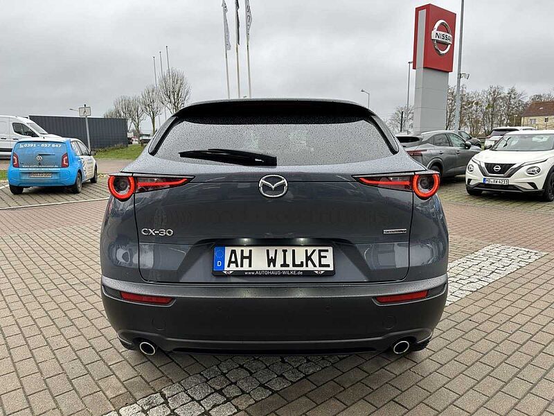 Mazda CX-30 2.0 SKY-G M-Hyb 150PS EU6d Selection/360°/BOSE/MATRIX-LED