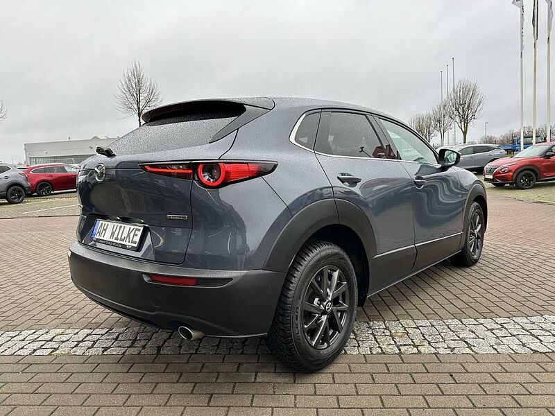 Mazda CX-30 2.0 SKY-G M-Hyb 150PS EU6d Selection/360°/BOSE/MATRIX-LED